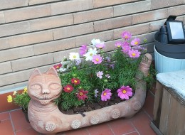 vaso a forma di gatto nipoti terrecotte